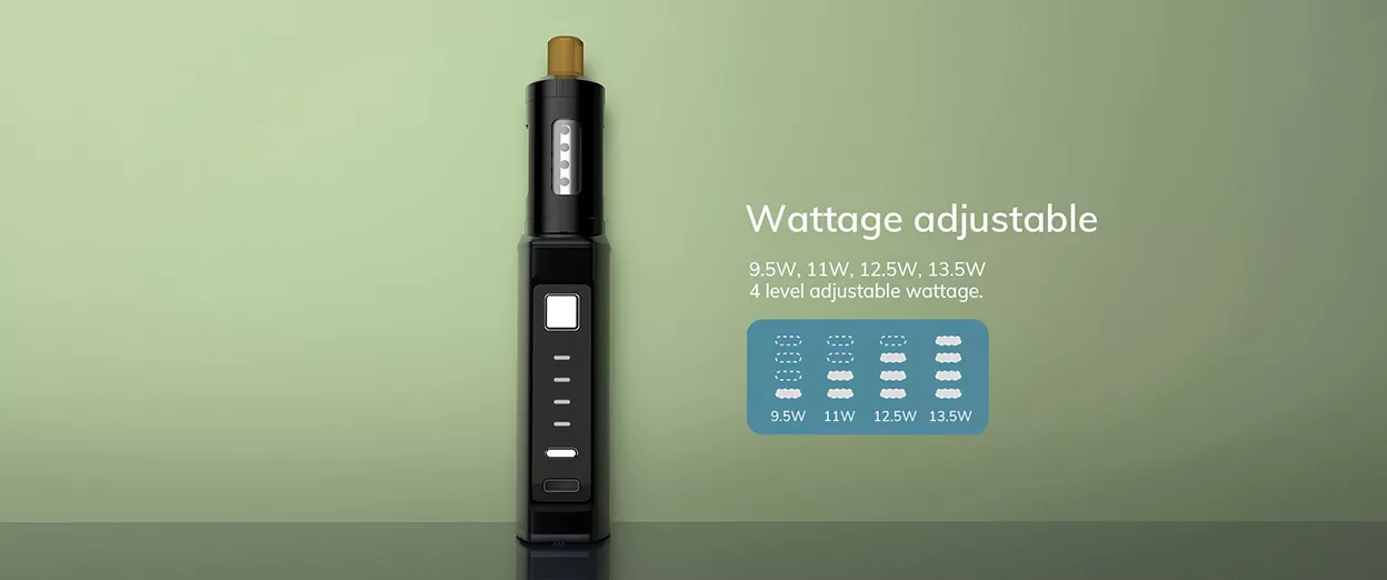 adjustable wattage