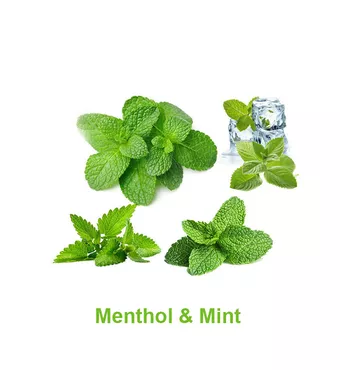 Magical Flavour Menthol And Mint Concentrated Flavors £5.11